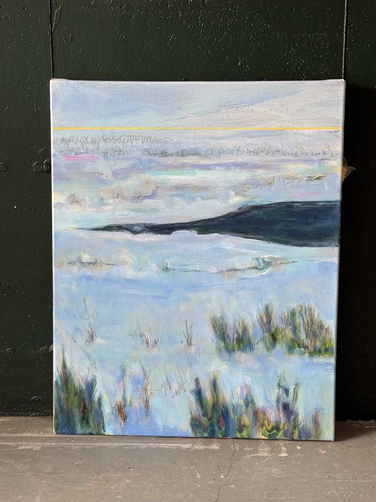 Frozen Marsh